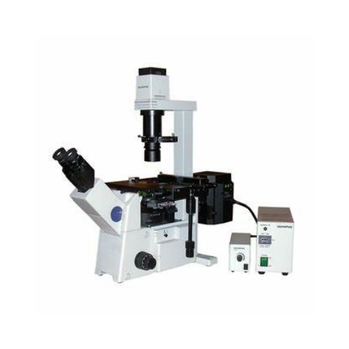 �W�ְ�˹	IX71 �����@΢�R/�����s�ԈD